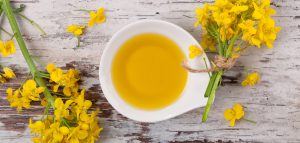 header-home-rapeseed