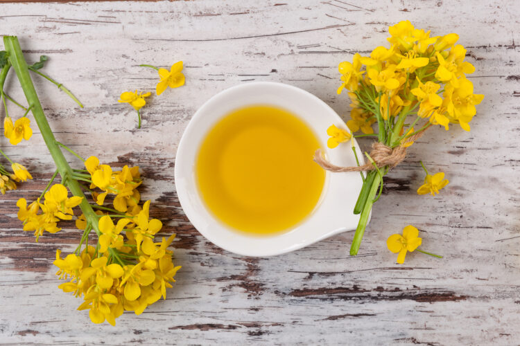Rapeseed oil and flowers on wooden background, top view.